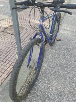 Bicicleta azul