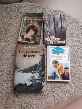 Lote libros en frances