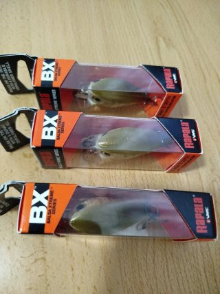 3x Señuelos Rapala BX Brat 3' Depth
