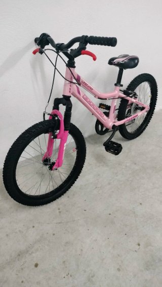 Bicicleta Niña 20