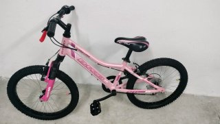 Bicicleta Niña 20