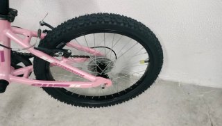Bicicleta Niña 20