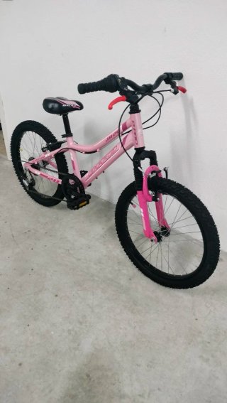 Bicicleta Niña 20