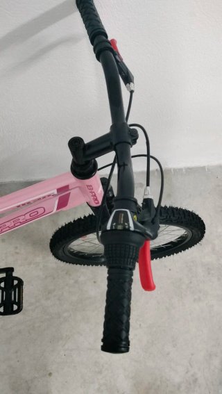 Bicicleta Niña 20