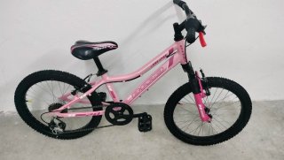 Bicicleta Niña 20