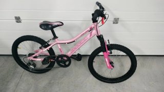 Bicicleta Niña Rosa