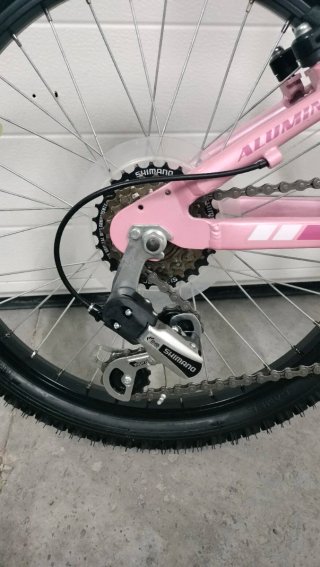 Bicicleta Niña Rosa