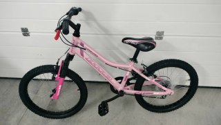 Bicicleta Niña Rosa