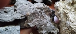 Piedras naturales para acuario