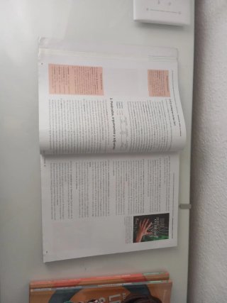 Lengua castellana y literatura 1, Le Bachillerato