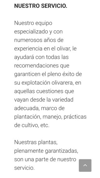 Plantones de Olivos - Varias Variedades