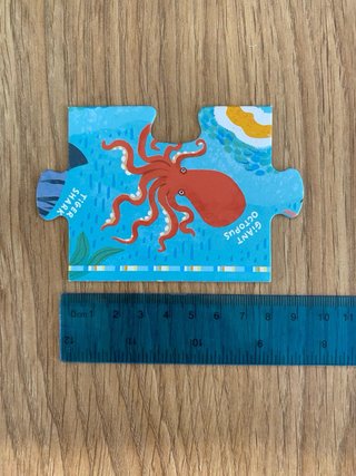 Puzzle Puzzlove Animales del Mundo 60 piezas