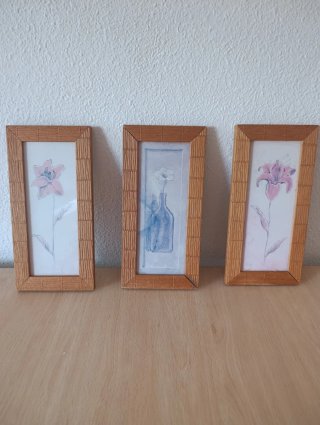 Set 3 Cuadros Flores