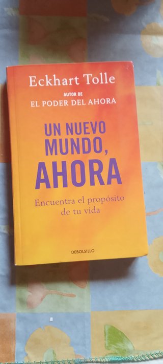 LOTE DE 11 LIBROS