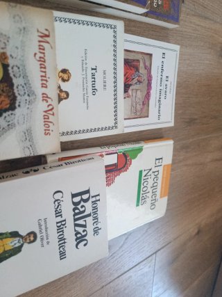 Libros de literatura francesa