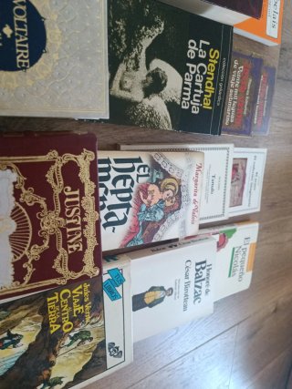 Libros de literatura francesa
