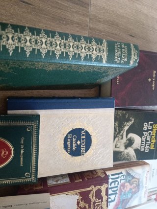 Libros de literatura francesa