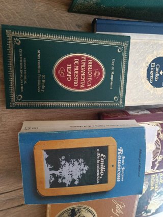 Libros de literatura francesa