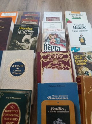 Libros de literatura francesa