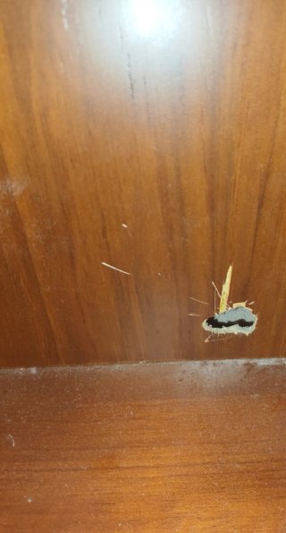 Escritorio tipo bureau madera