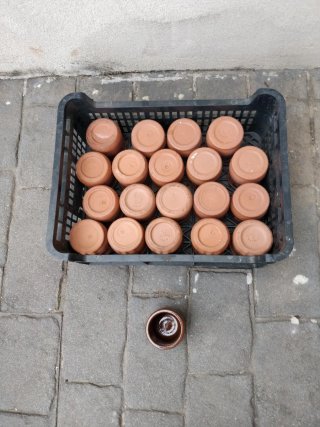 Vasitos de barro (terracota)