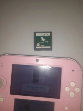 Nintendo 2DS Rosa + 2 Juegos + Cargador