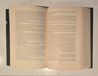 No hay lugar seguro de Tana French