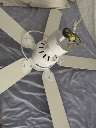 Ventilador de techo color madera y blanco