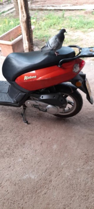 Ciclomotor Peugeot Kisbee 50cc Naranja