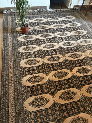 Alfombra tipo persa Gigante Beige y Marrón