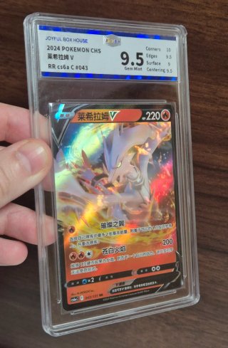 Pokémon lote 3 Slabs Reshiram JBH cHINO