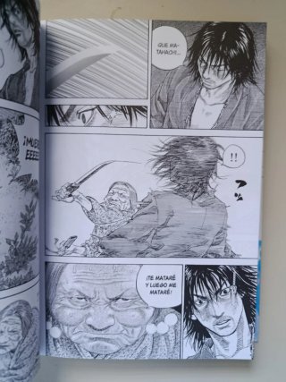 Vagabond 01