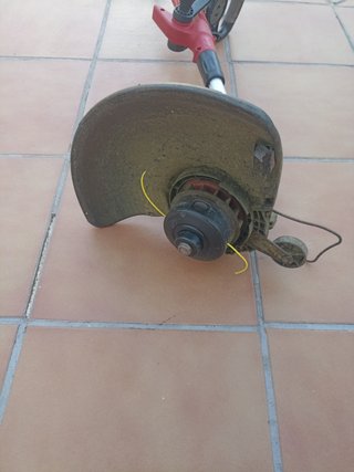 Desbrozadora Eléctrica Einhell extensible
