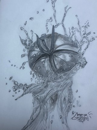 Dibujo a lápiz A5 - Tomate y agua