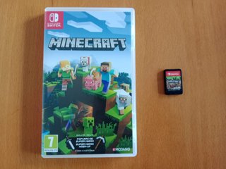 Minecraft Nintendo Switch