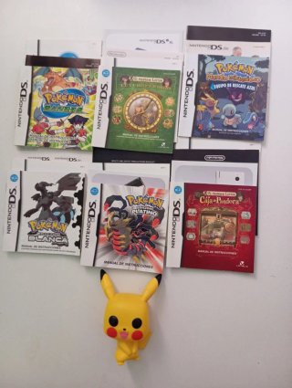 Lote Manuales Videojuegos Nintendo DS