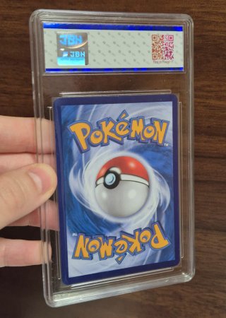 Pokémon Vaporeon y Glaceon Masterball Slabs JBH