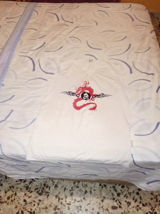 Camiseta Dragon Estampado Verano Hombre