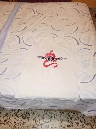 Camiseta Dragon Estampado Verano Hombre