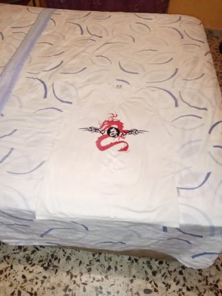 Camiseta Dragon Estampado Verano Hombre