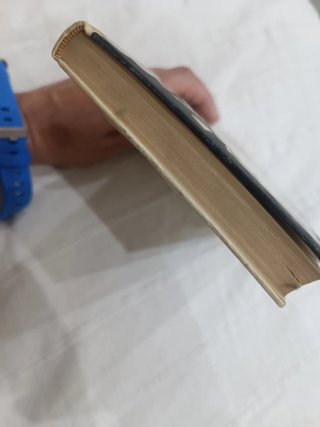 Libro Daniel y los leones dorados.