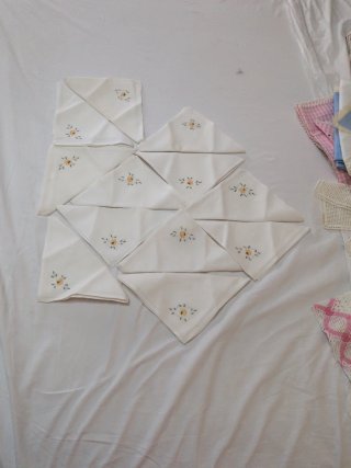 12 Servilletas Bordadas a Mano