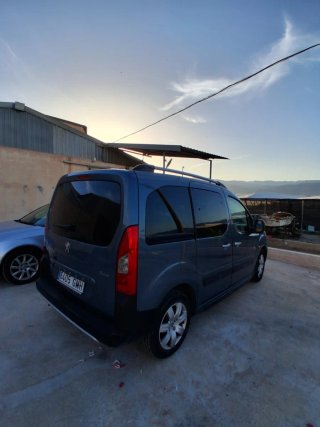 Peugeot e-Partner 2009