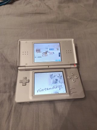 Nintendo DS Lite Plata y Blanco