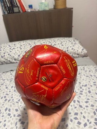 Balón de España firmado – Mundial 2010 (El País)