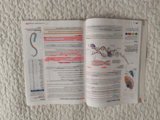 Cultura científica, Bachillerato 1