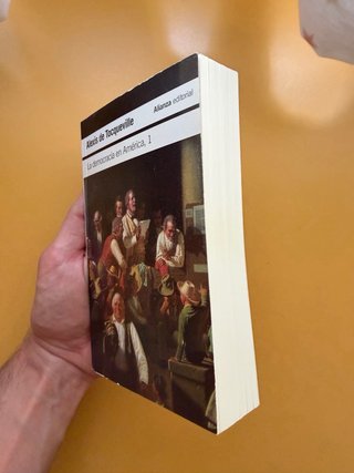 La democracia en América