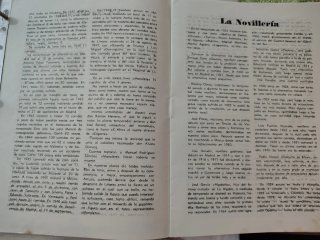 Lote Taurino: Almohadilla, Trofeo, carteles mano