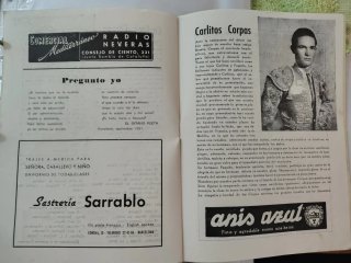 Lote Taurino: Almohadilla, Trofeo, carteles mano