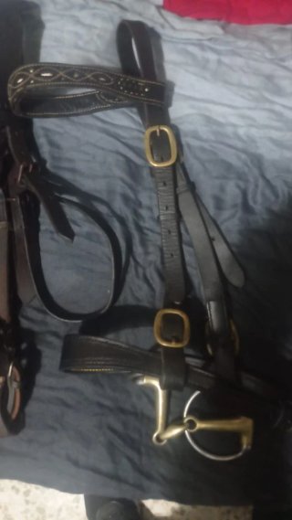Lote arreos caballo